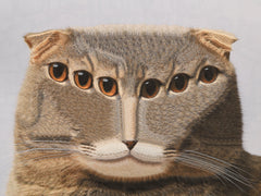 a cat collage with many eyes