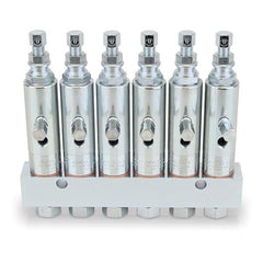 Graco GL-1™ Grease Injectors - 6 Injectors and Manifold