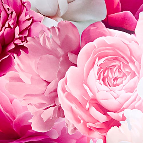 PHYRIS Professionel Rejuvenating Rose Sheet Mask