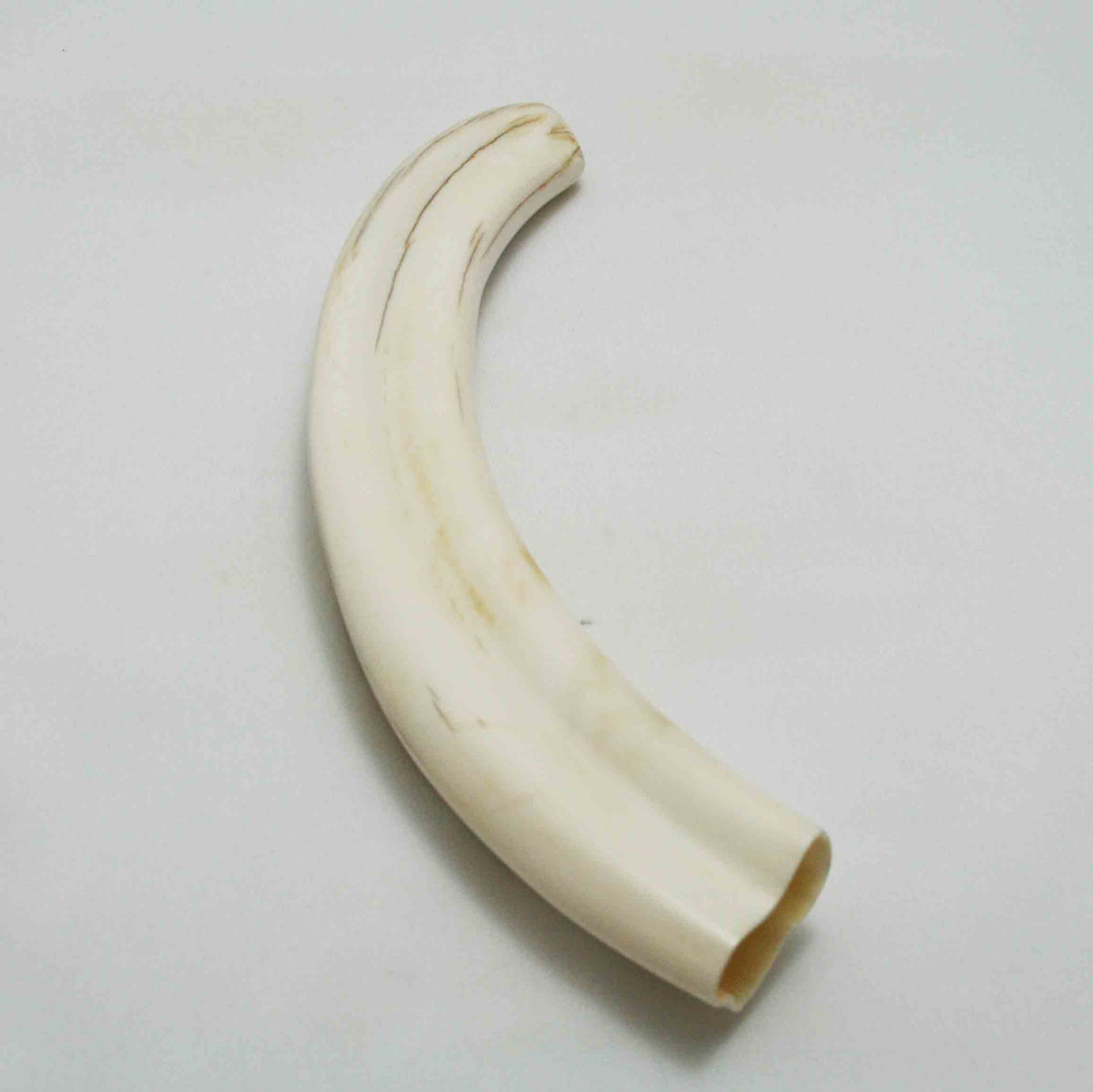 NB1701LG2 Warthog Tusk (Large)
