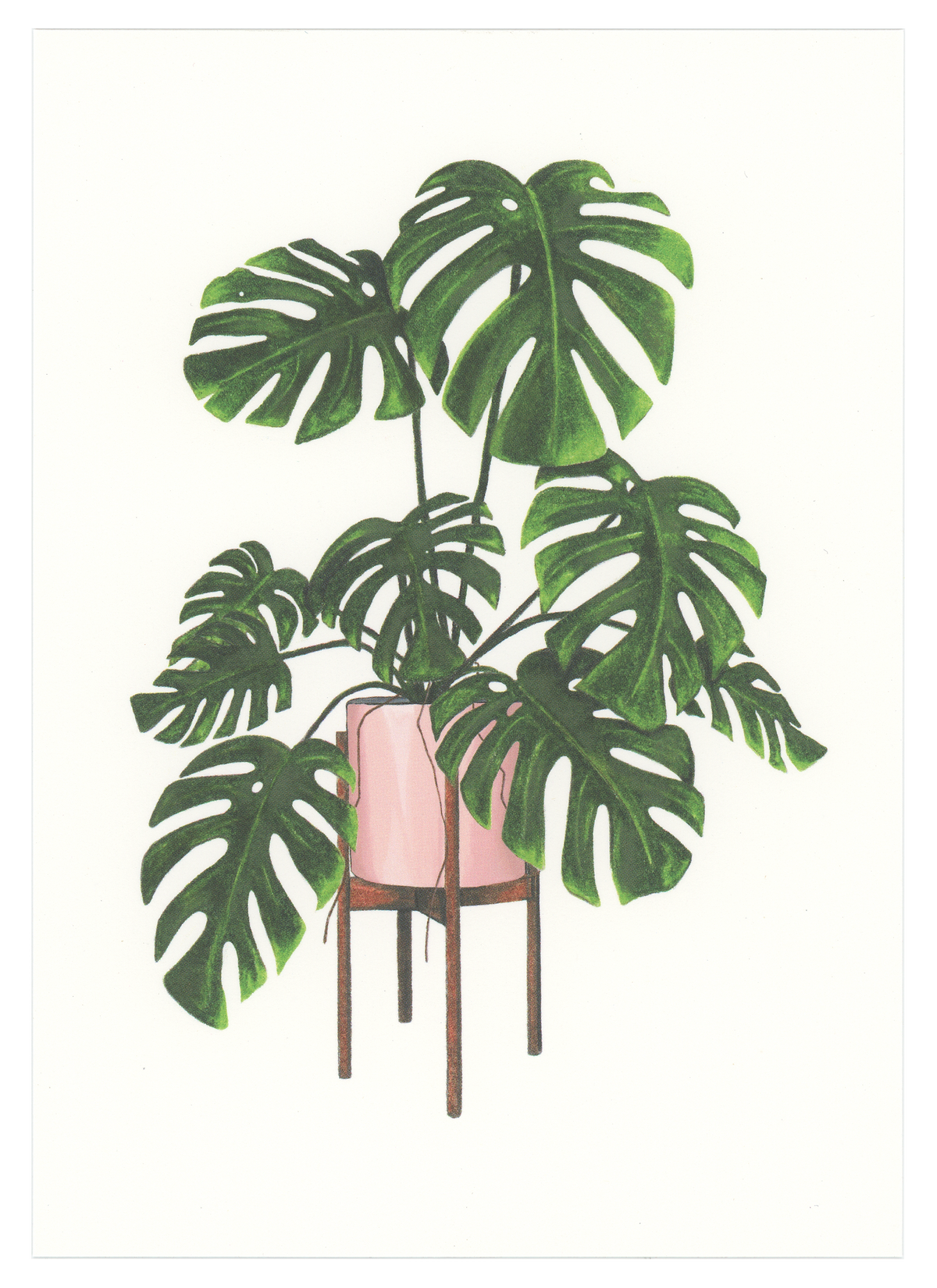 Monstera Deliciosa Art Print