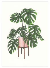 Monstera Deliciosa Art Print