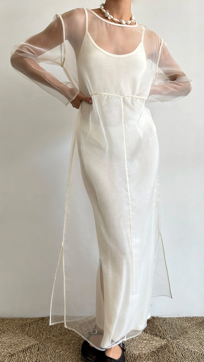 Organza Long Sleeve Dress
