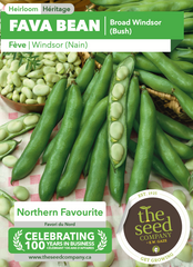 Fava Bean | Broad Windsor (Bush)
