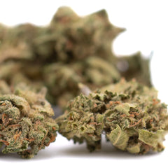 Sour Chem CBD Hemp Flower Smalls Full-Term Wholesale
