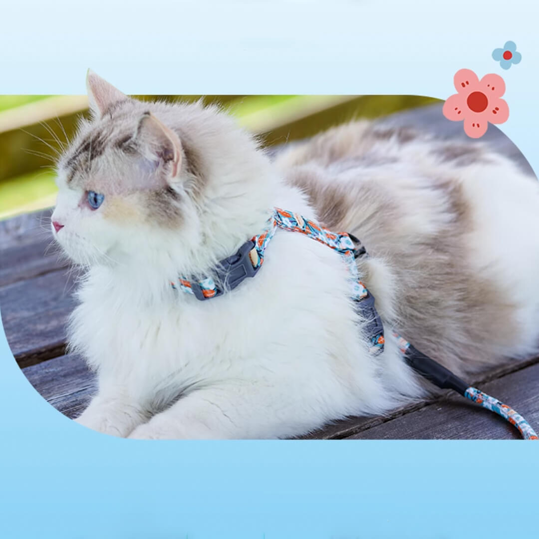 Cat on H-Style Floral Print Cat Harness | MissyMoMo 