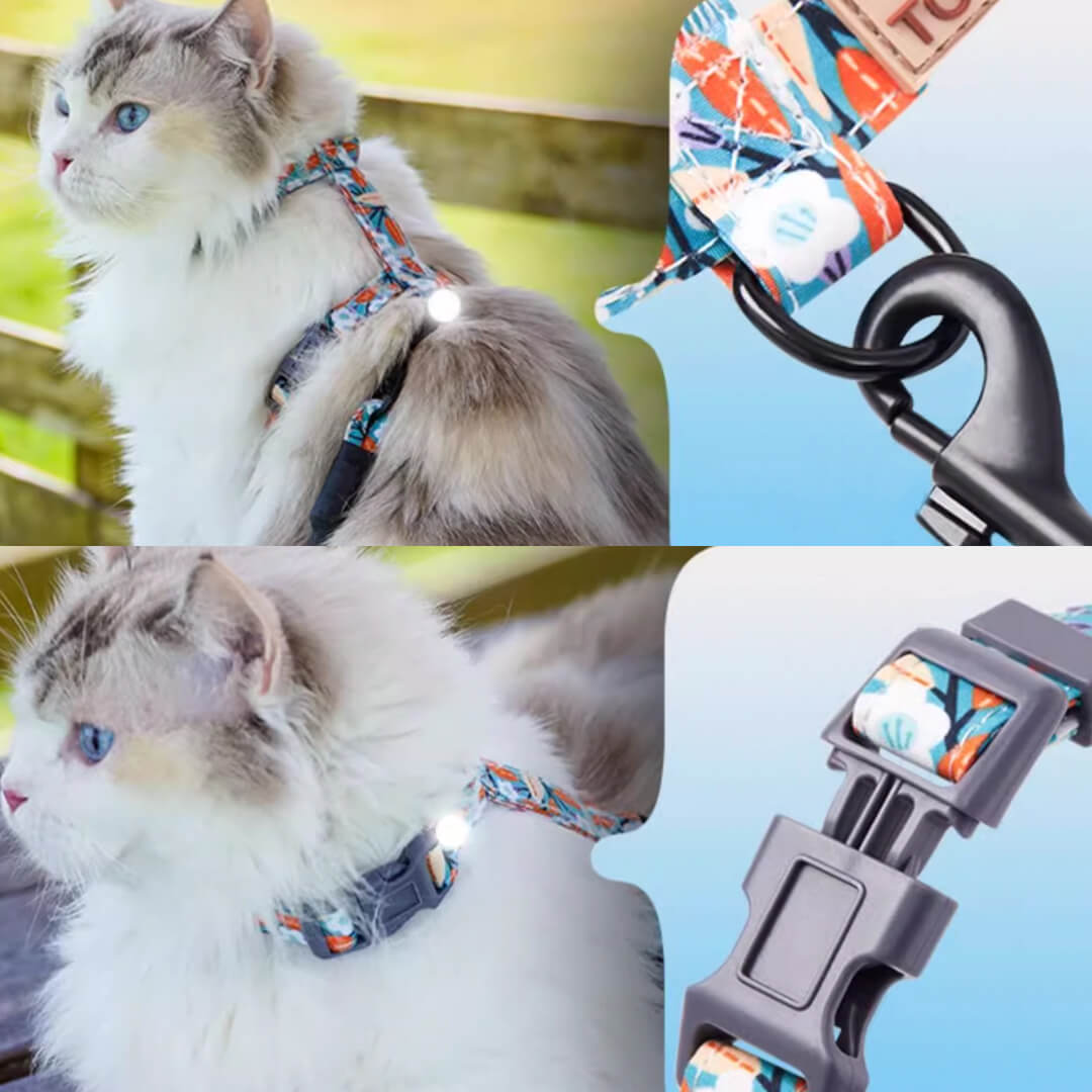 TouchCat  Cat Harness & Leash Set for Walking | H-Style Cat Harness | MissyMoMo