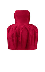 Rosa Silk Mini Dress