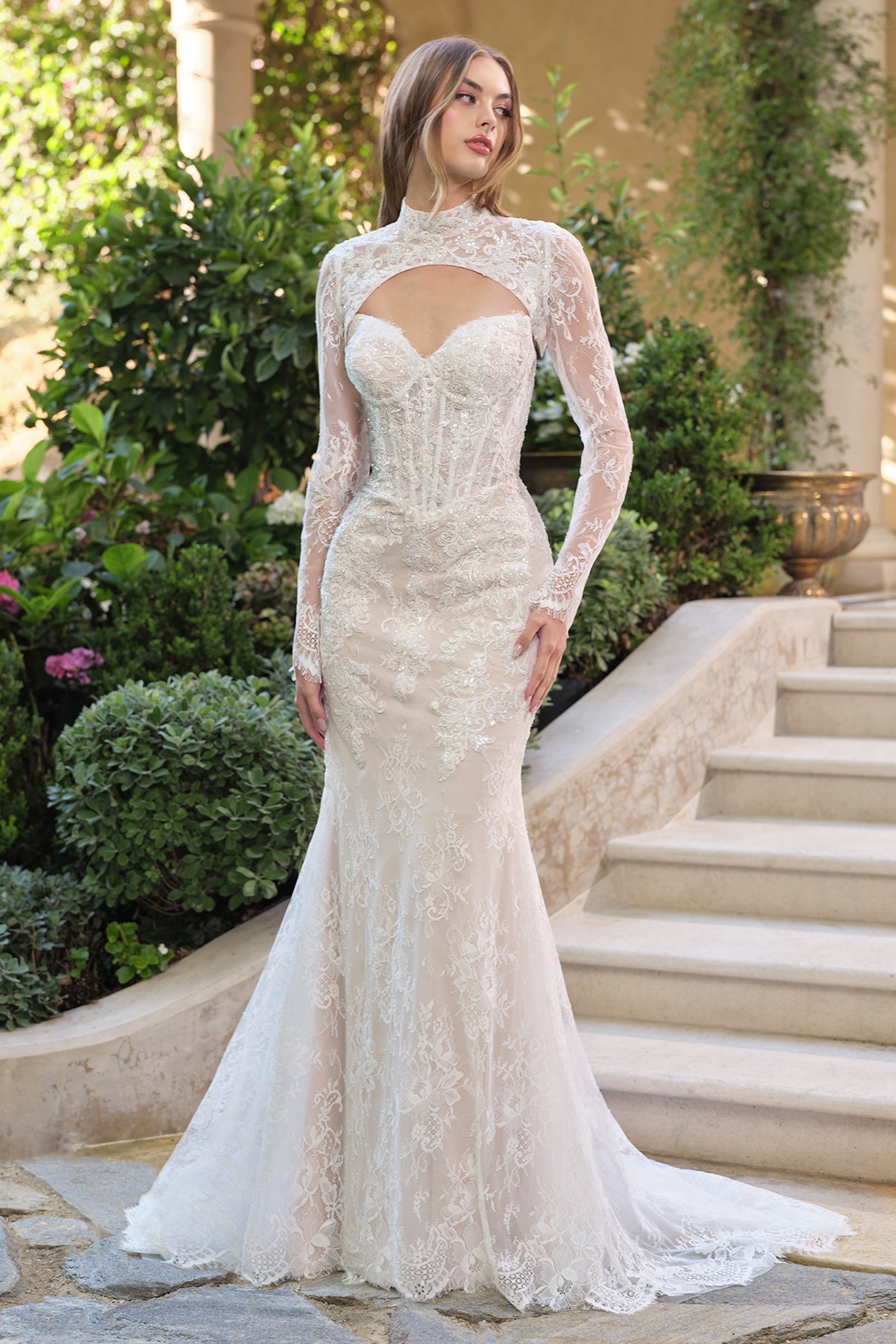 Strapless Bolero Bridal Gown by Ladivine WL071