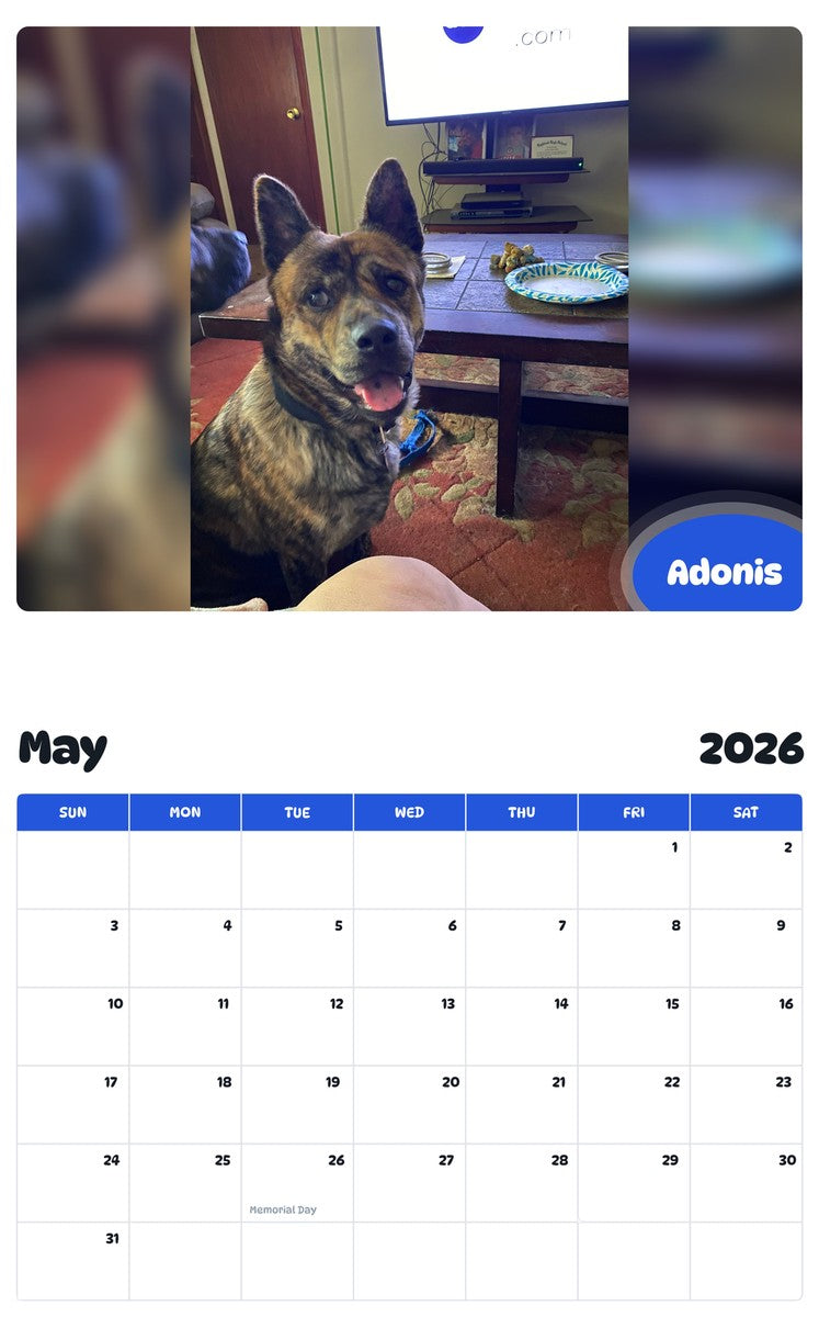 2026 - 2027 Adonis - Pawidols Pet Calendar
