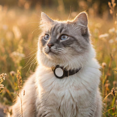 NEMO AirTag Katzenhalsband (Silikon)