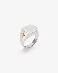 Anel Flor de lis - Helen Gordilho