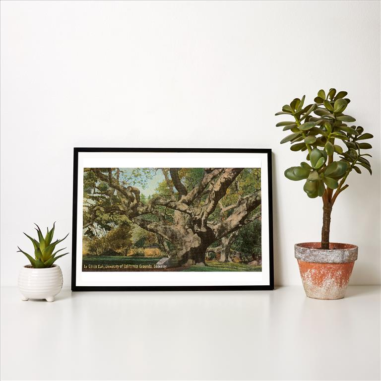 Art Print BA-24