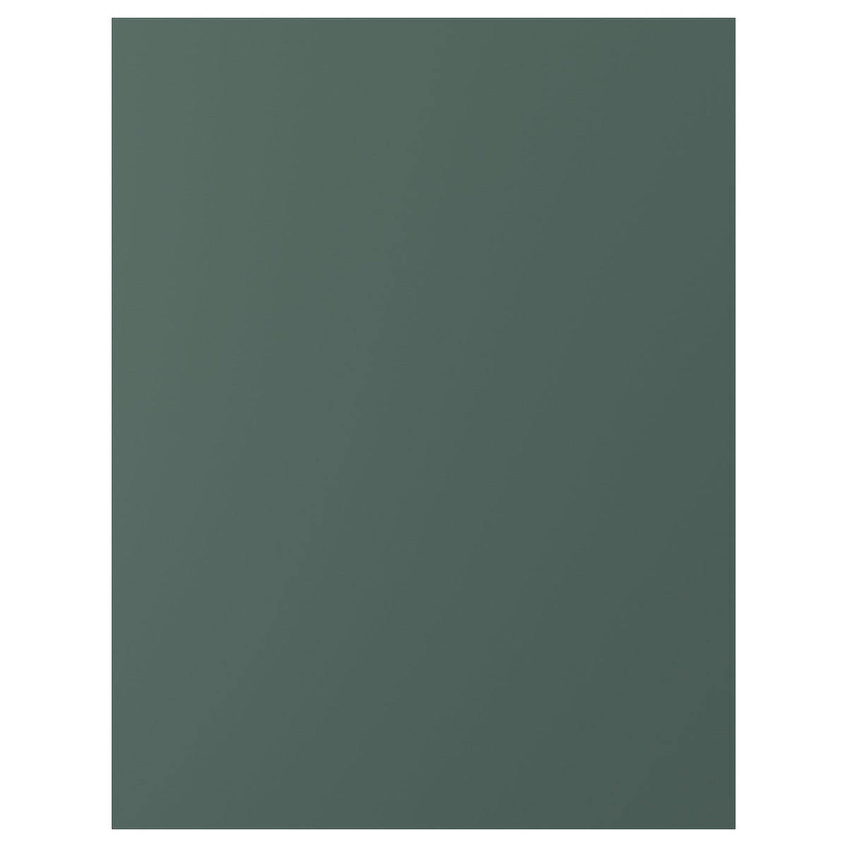 ASPUDDEN cover panel, dark grey-green, 61.5x80.0 cm