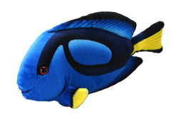 Dory