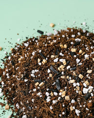 Heap of potting soil soil balanced and designed for calathea with coco coir, vermiculite, activated charcoal and perlite stones on a light green background