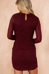 Hadley Plum Diamante Long Sleeve Dress