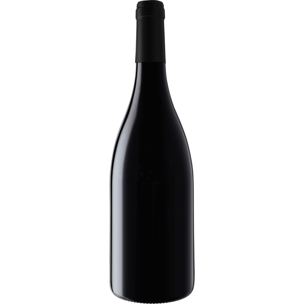Dominio del Aguila Ribera del Duero Blanco 'Albillo Vinas Viejas' 2014-Wine-Verve Wine