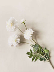 Krysantemum hvit 59 cm