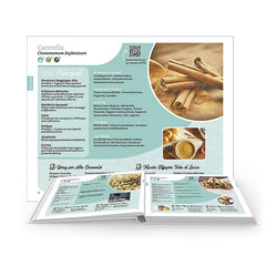 ADVANCED OIL MAGIC 8 (Italiano)