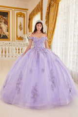 Floral Applique Off Shoulder Ball Gown by Ladivine 15702