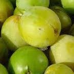 Grön Reine Claude (Greengage) (Nr.1) – Stort Plommonträd - Prunus Domestica 'Reine Claude Green'