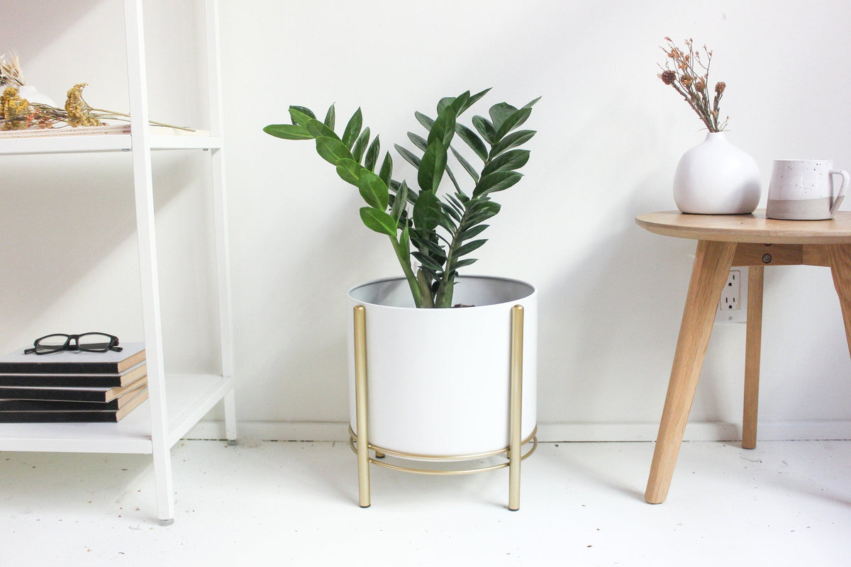 White Standing Planter Pot with Modern Gold Plant Stand