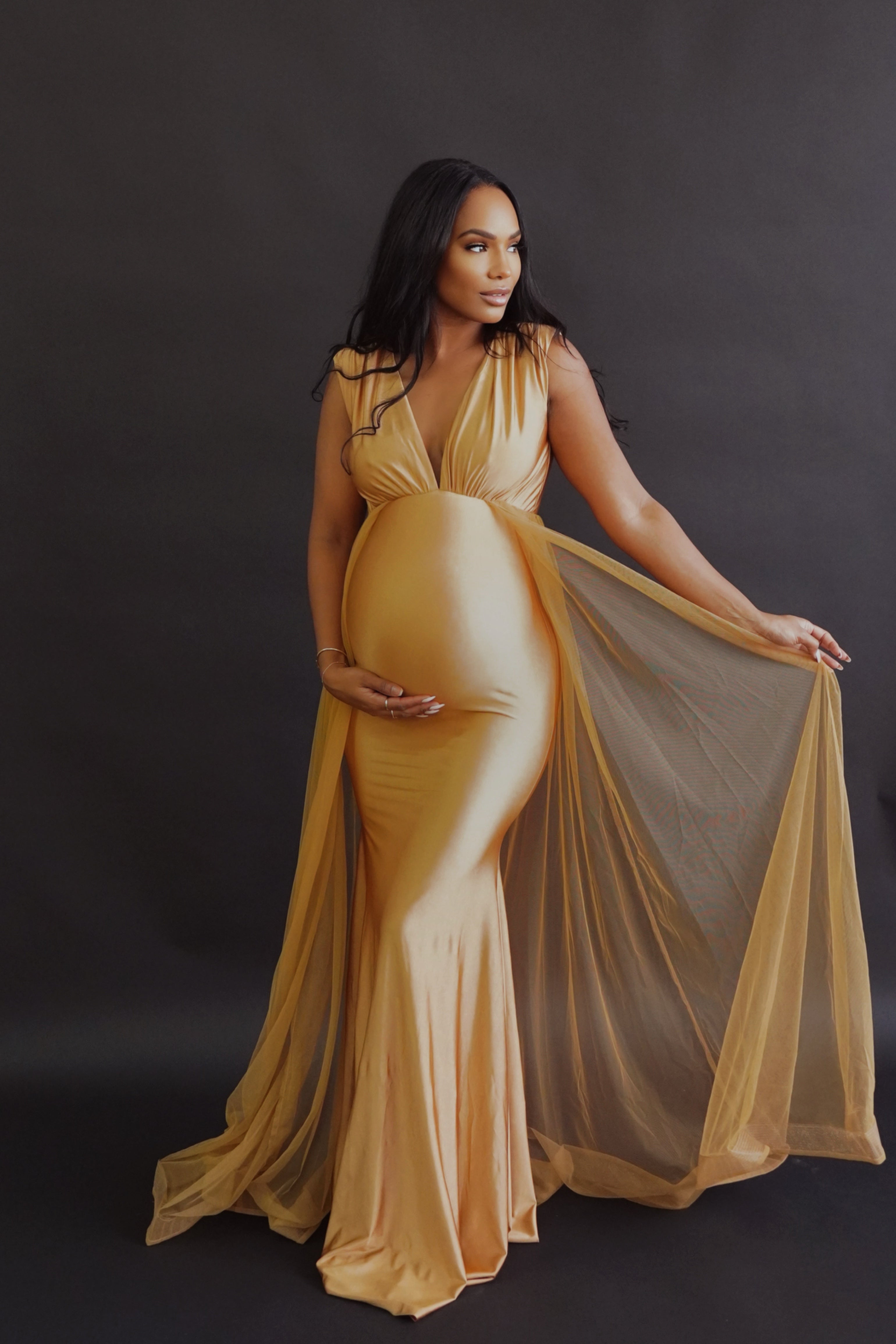 Isabella Maternity Gown