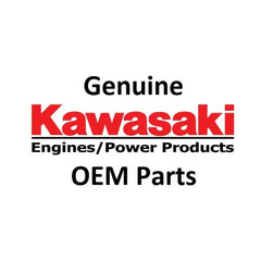 Kawasaki PISTON316485-3111A