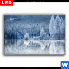 Leuchtbild Dia Frostiger Wald Querformat Motivvorschau