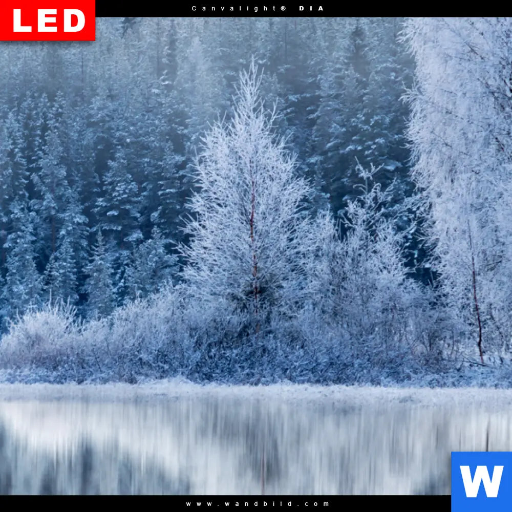 Leuchtbild Dia Frostiger Wald Querformat Zoom