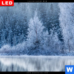 Leuchtbild Dia Frostiger Wald Querformat Zoom