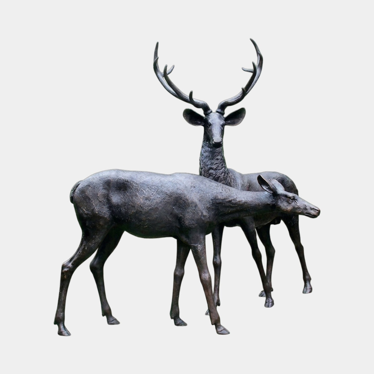 Life-Size Traditional Stag and Doe Deer Bronze Sculpture - 260cm