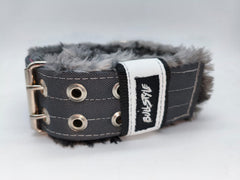 Collar para perros 3D Edición limitada