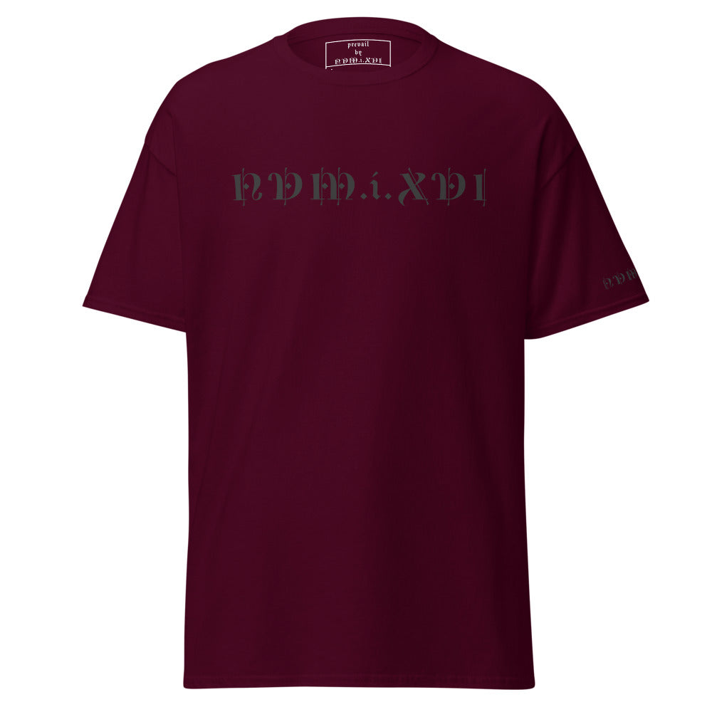 prevail by NVM.i.XVI™️ Premium Tee