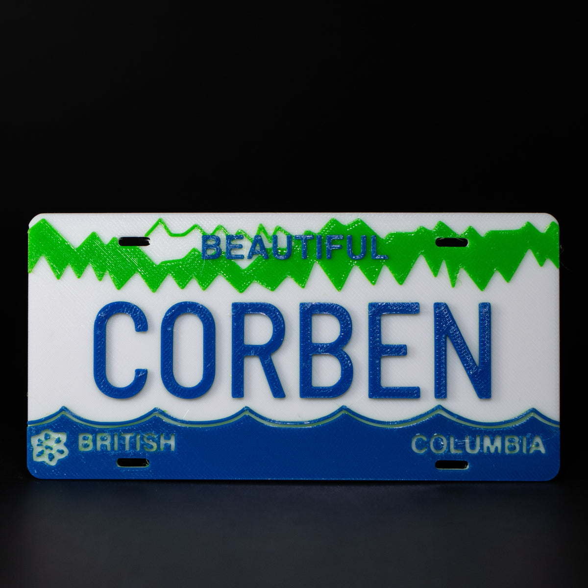 Replica BC License Plate
