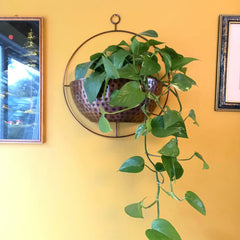Copper Wall Planter