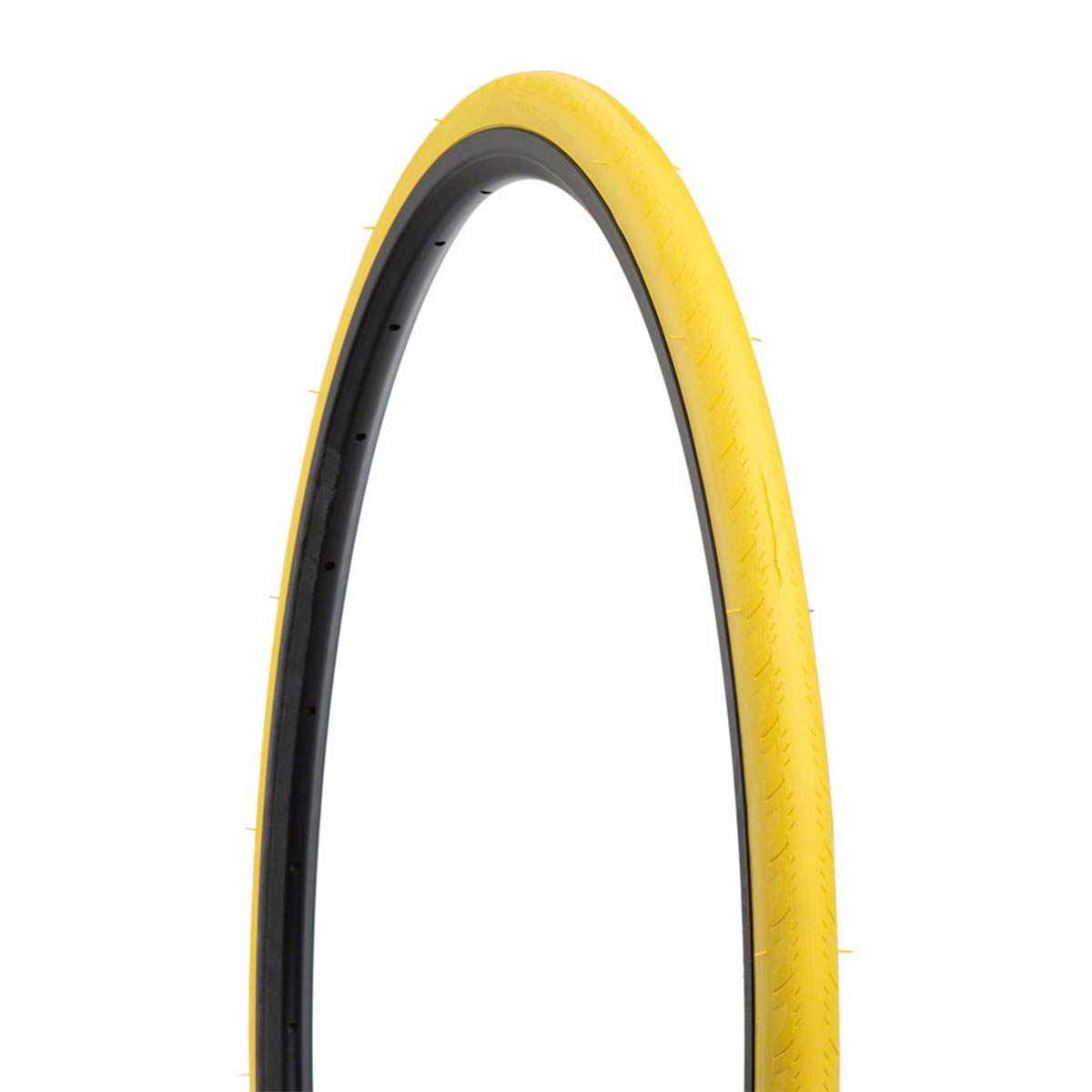 SARIS PNEU TRAINER