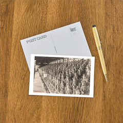 Postcard JN-271