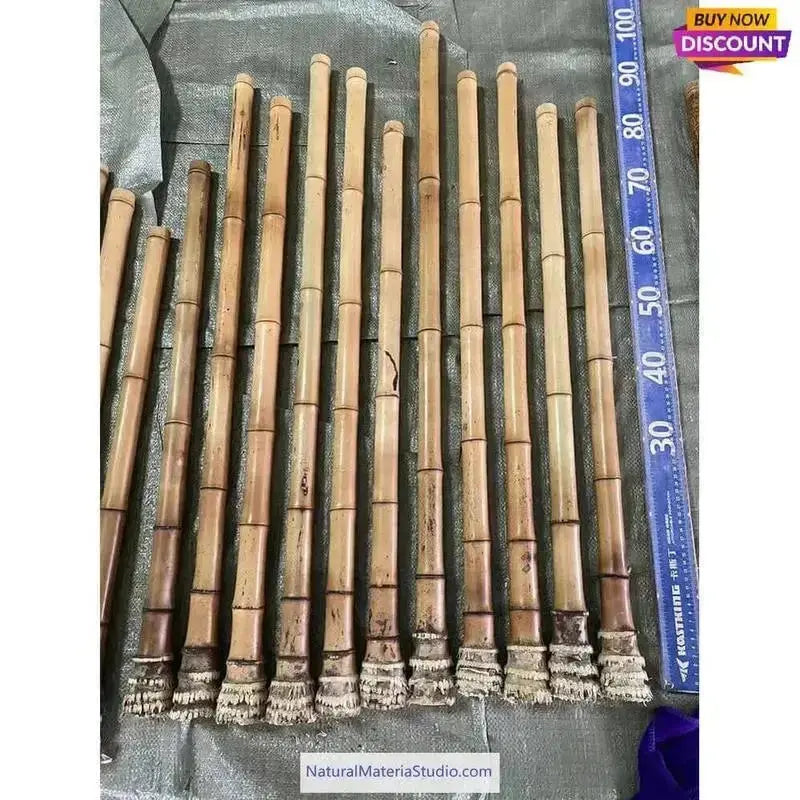 Premium hand-straightened L29"-39"(75-100 cm)ID(1.6-2.5cm)Madake Bamboo with Root Ball for Shakuhachi and Flute Making-NaturalMateriaStudio-NaturalMateriaStudio