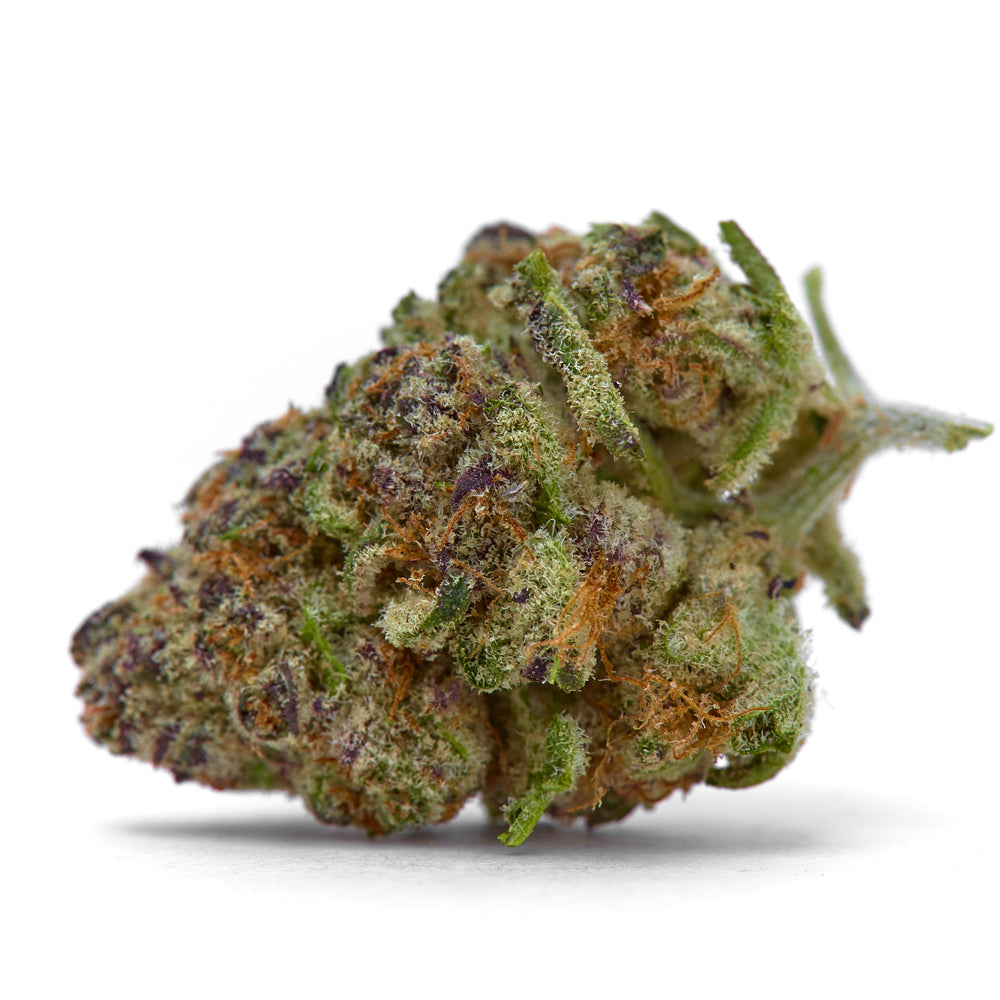 Growers Choice "Purple Sunset AUTO" Feminised Cannabis Seeds