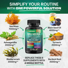 Sea Moss Bundle Black Seed Multivitamin & Shilajit Power Combo USA