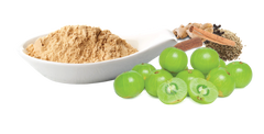 Amla with Vitamin C