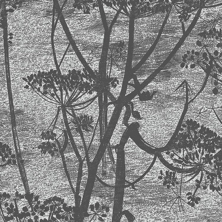 Tapeta ICONS - Cow Parsley czarny Cole & Son    Eye on Design