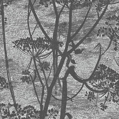 Tapeta ICONS - Cow Parsley czarny Cole & Son    Eye on Design